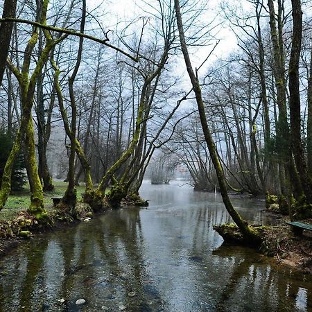 Villa Vrelo Bosne Sarajevo Buitenkant foto