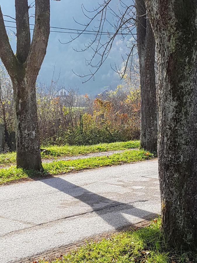 Villa Vrelo Bosne Sarajevo Buitenkant foto