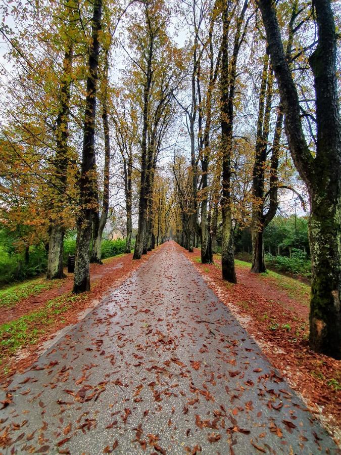 Villa Vrelo Bosne Sarajevo Buitenkant foto