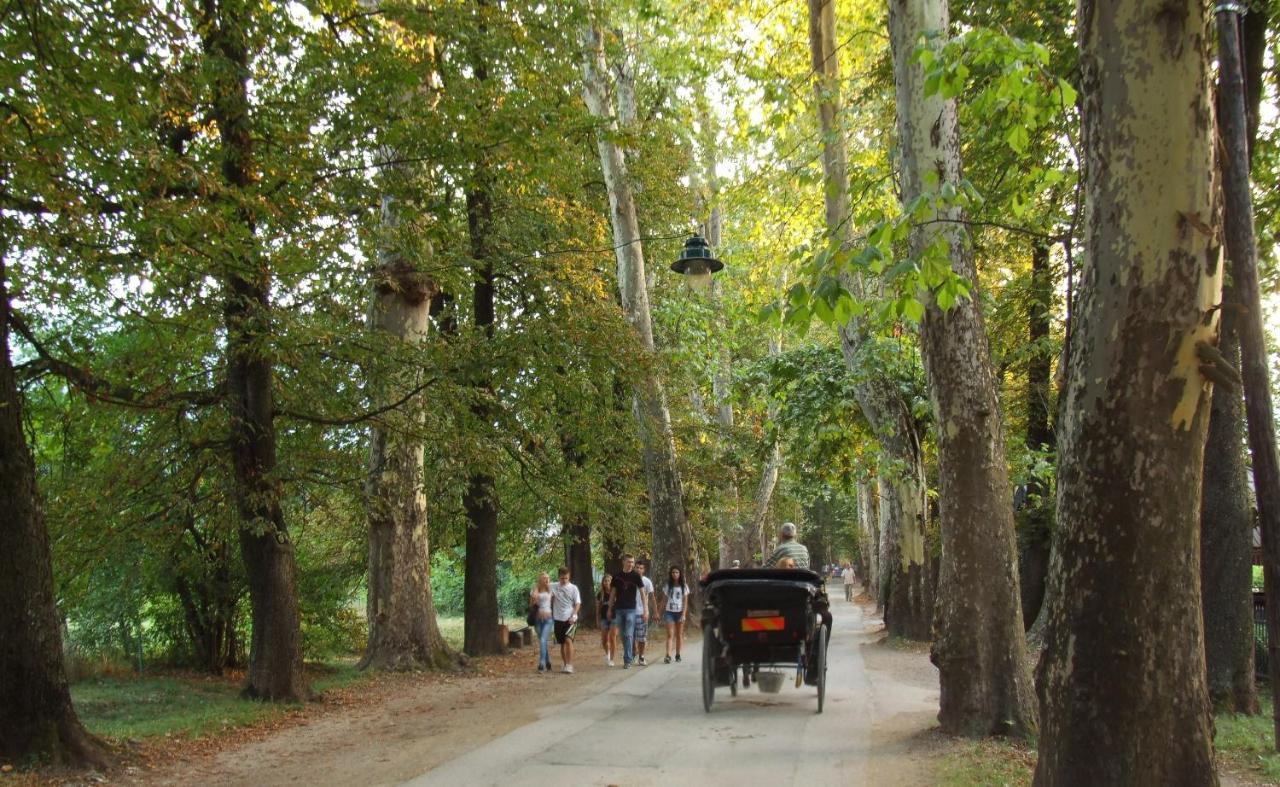 Villa Vrelo Bosne Sarajevo Buitenkant foto