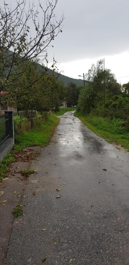 Villa Vrelo Bosne Sarajevo Buitenkant foto
