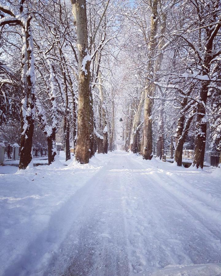 Villa Vrelo Bosne Sarajevo Buitenkant foto