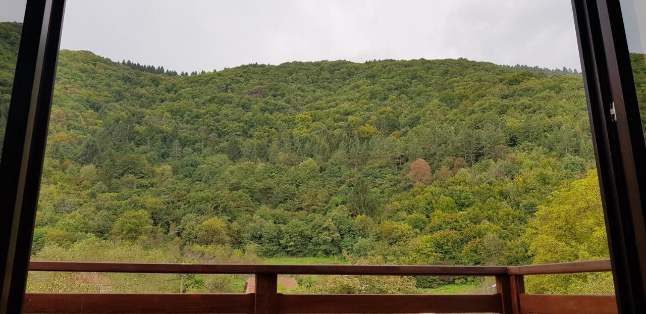 Villa Vrelo Bosne Sarajevo Buitenkant foto